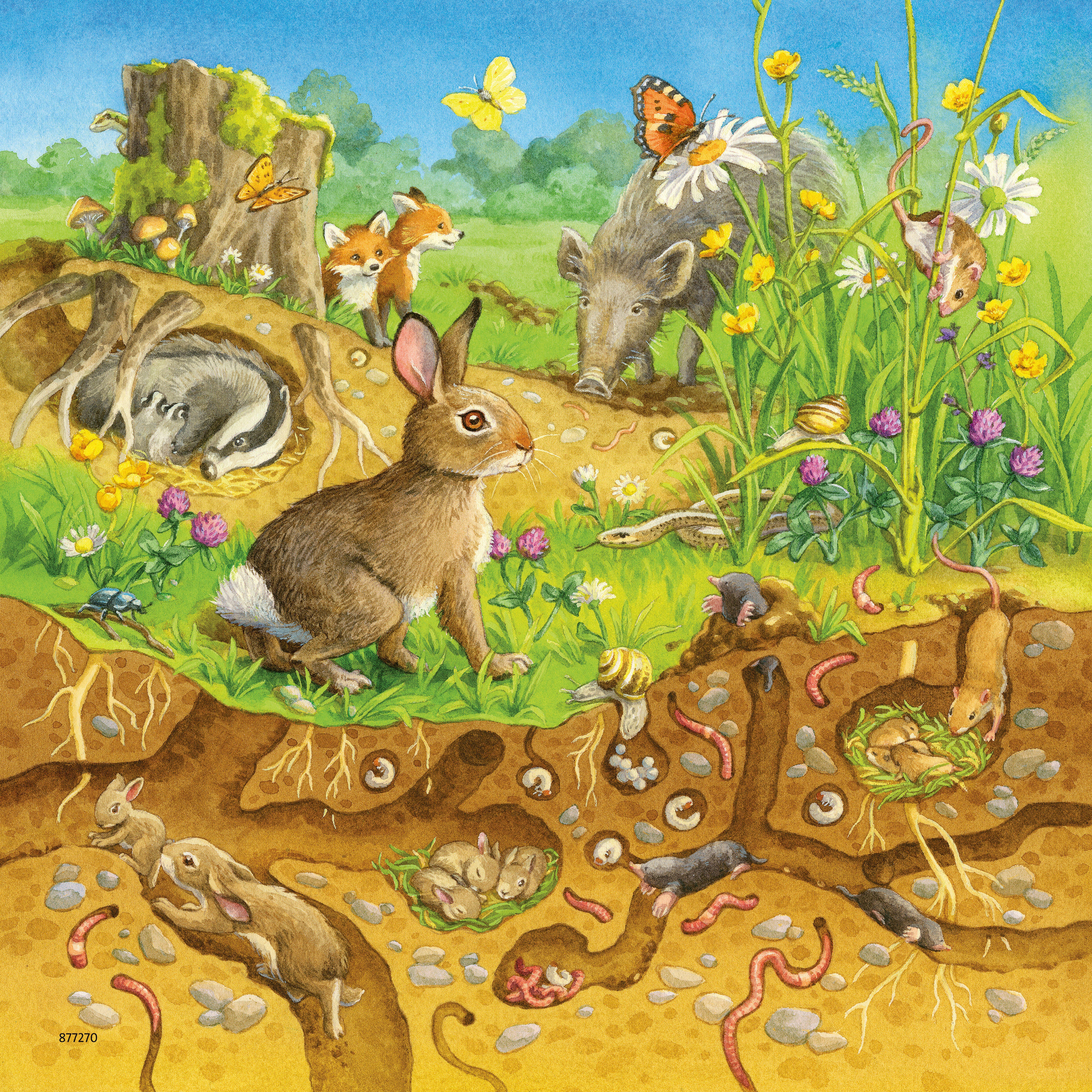 Beispielinhalt (Bild) Tiere in ihren Lebensräumen - Puzzle mit 49 Teilen