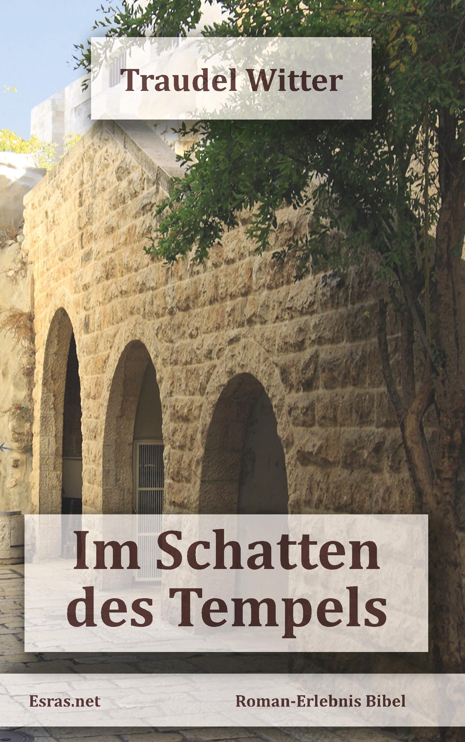 Vorderes Coverbild Im Schatten des Tempels