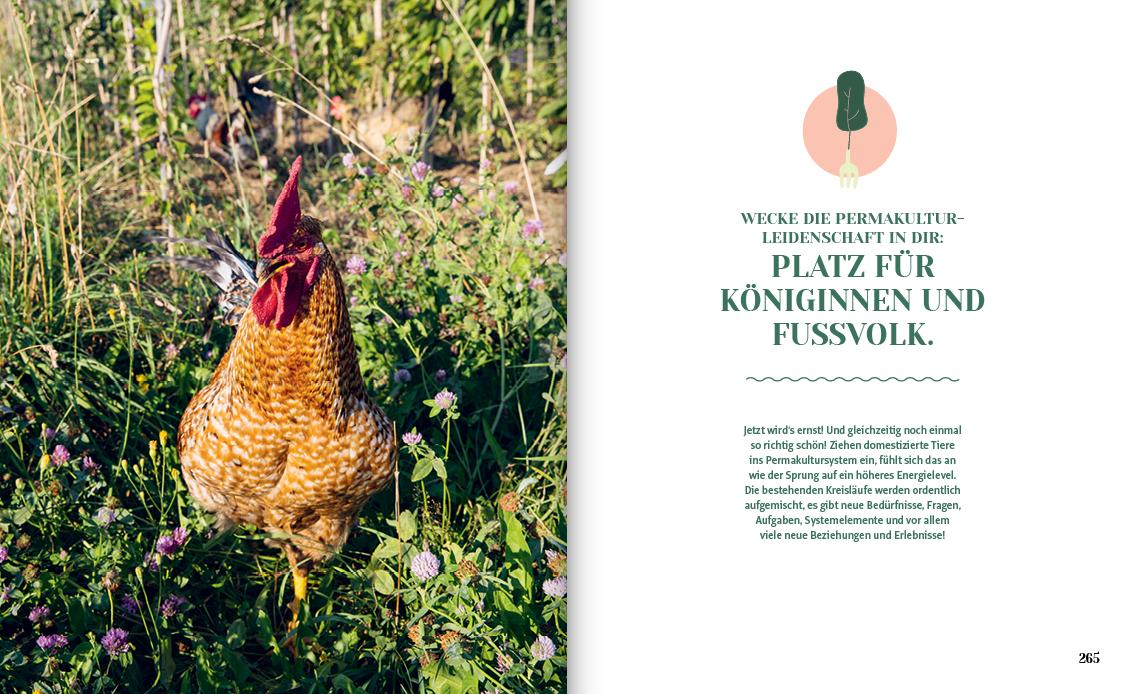 Beispielinhalt (Bild) Permakultur - Dein Garten. Deine Revolution.