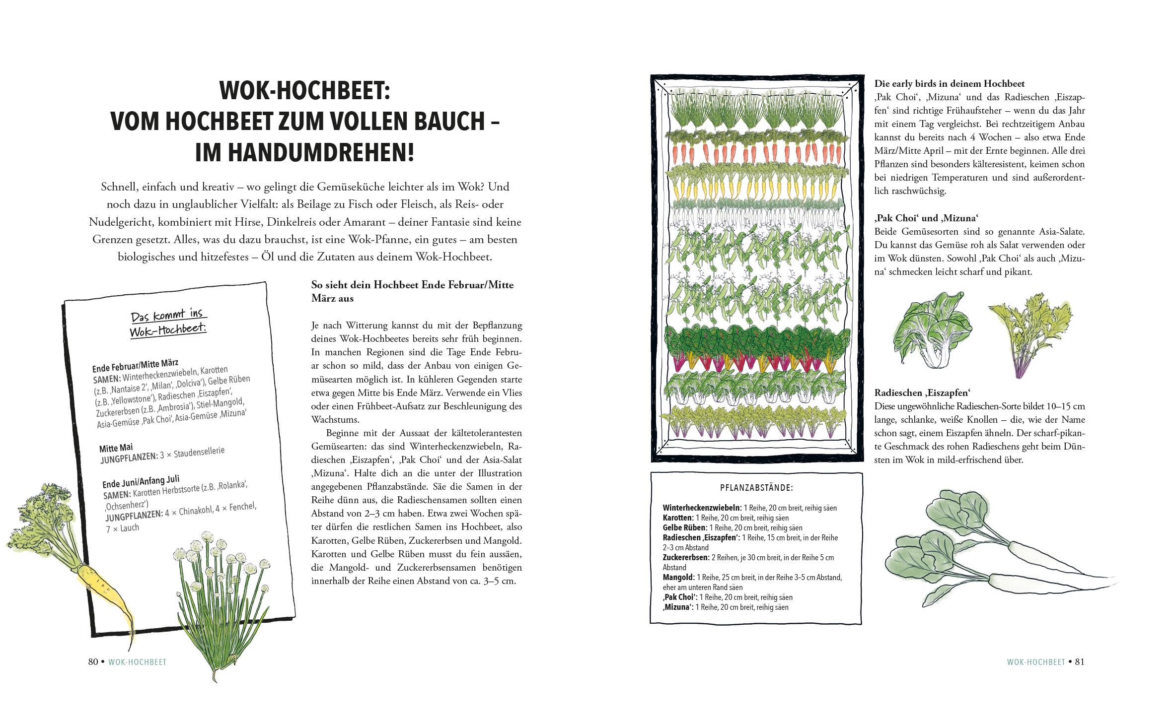Beispielinhalt (Bild) Das unglaubliche Hochbeet