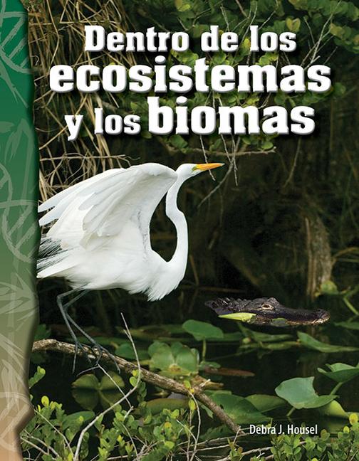 Vorderes Coverbild Dentro de Los Ecosistemas Y Los Biomas