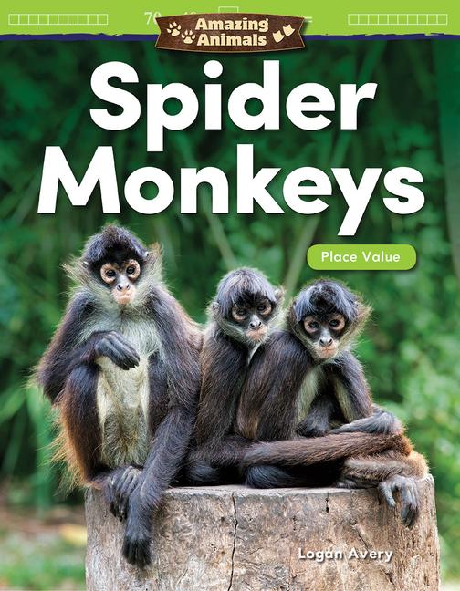 Vorderes Coverbild Amazing Animals: Spider Monkeys