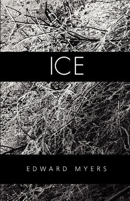 Vorderes Coverbild Ice