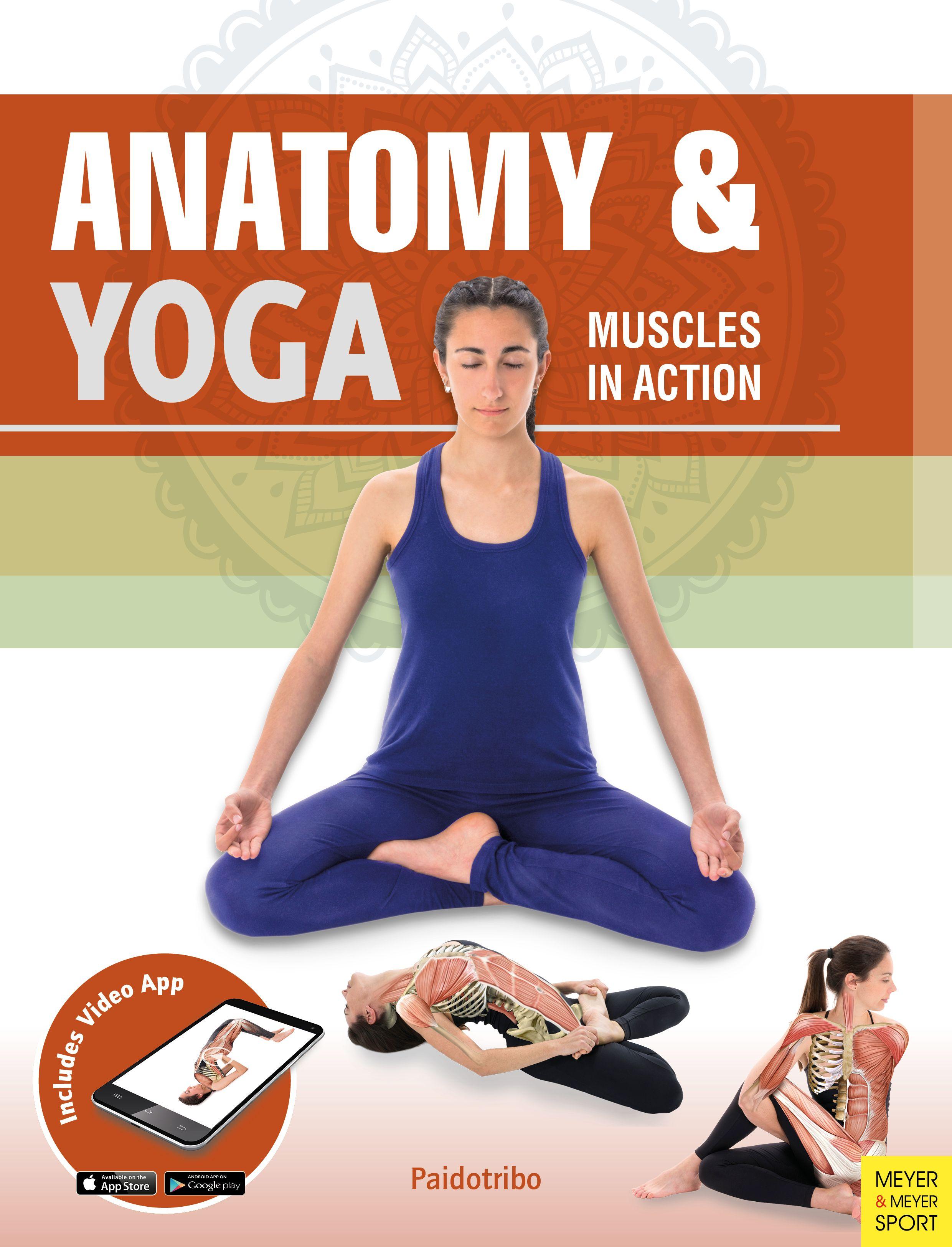 Vorderes Coverbild Anatomy & Yoga