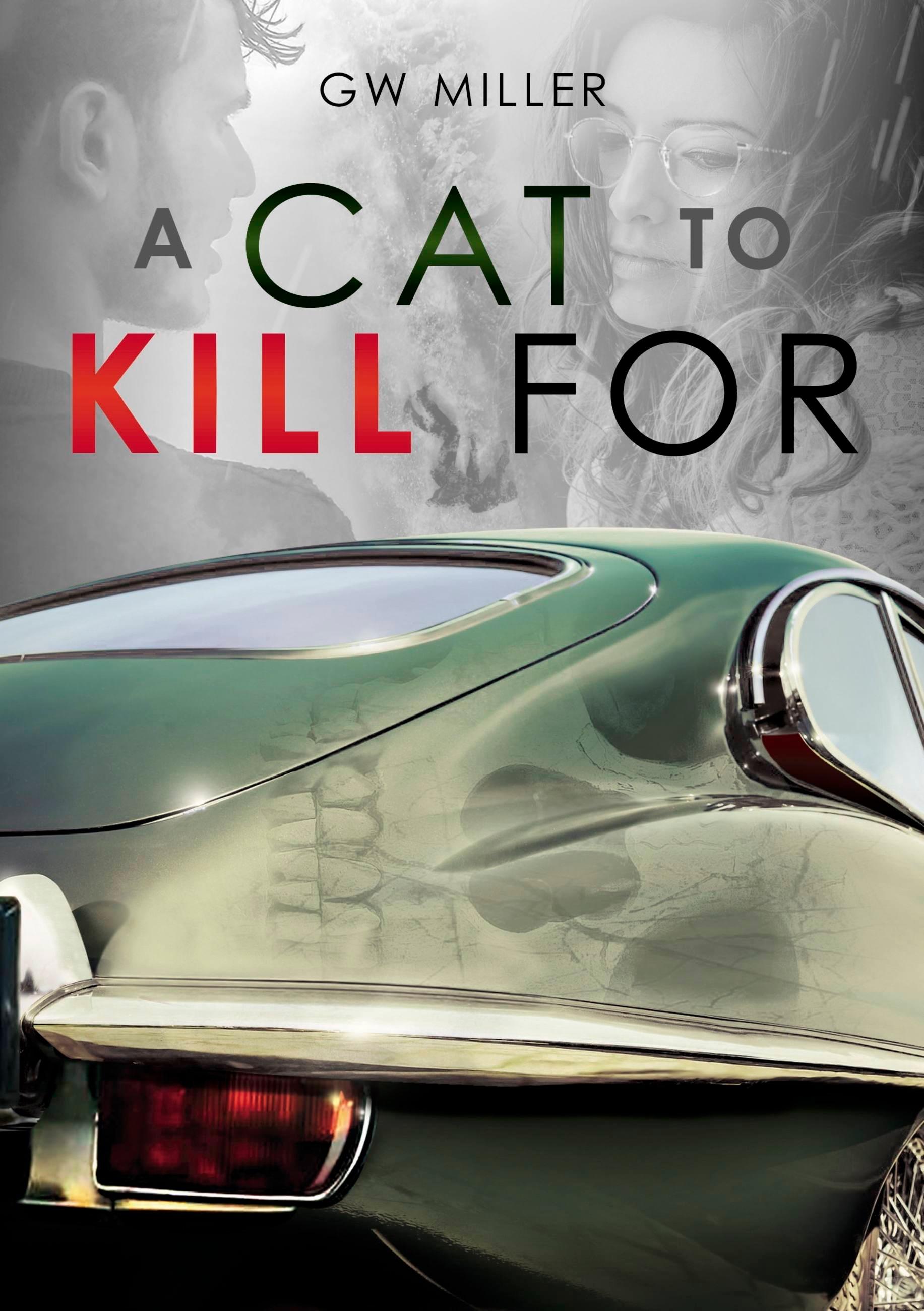 Vorderes Coverbild A Cat to Kill for