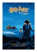Vorderes Coverbild Harry Potter Deluxe Official 2019 Calendar - A3 with Presentation Envelope Format