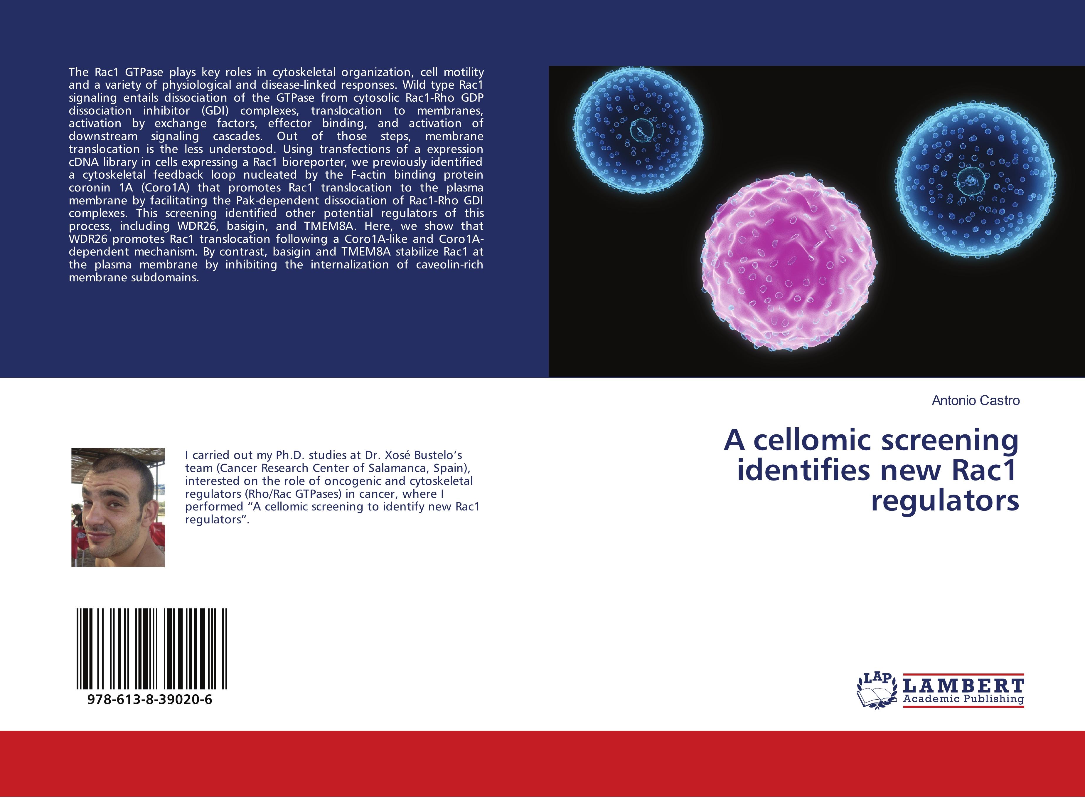 Vorderes Coverbild A cellomic screening identifies new Rac1 regulators