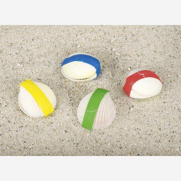 Vorderes Coverbild Wundermuschel, Peggy Diggledey