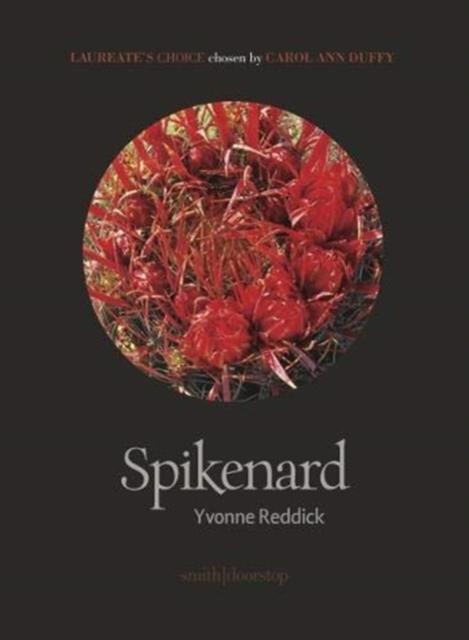 Vorderes Coverbild Spikenard