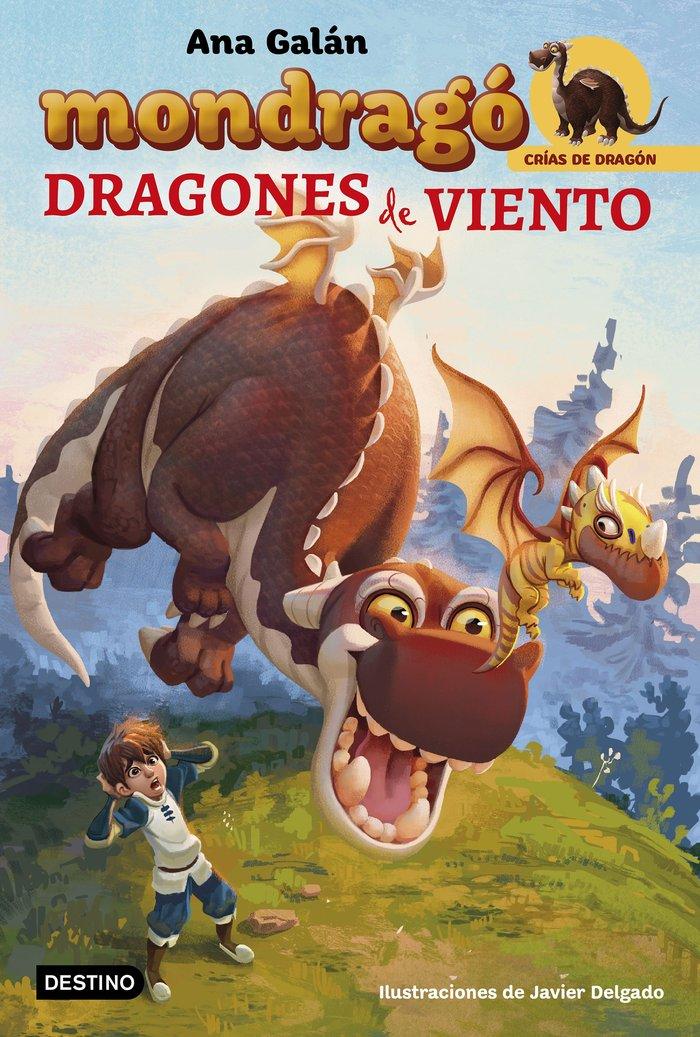 Vorderes Coverbild Dragones de viento