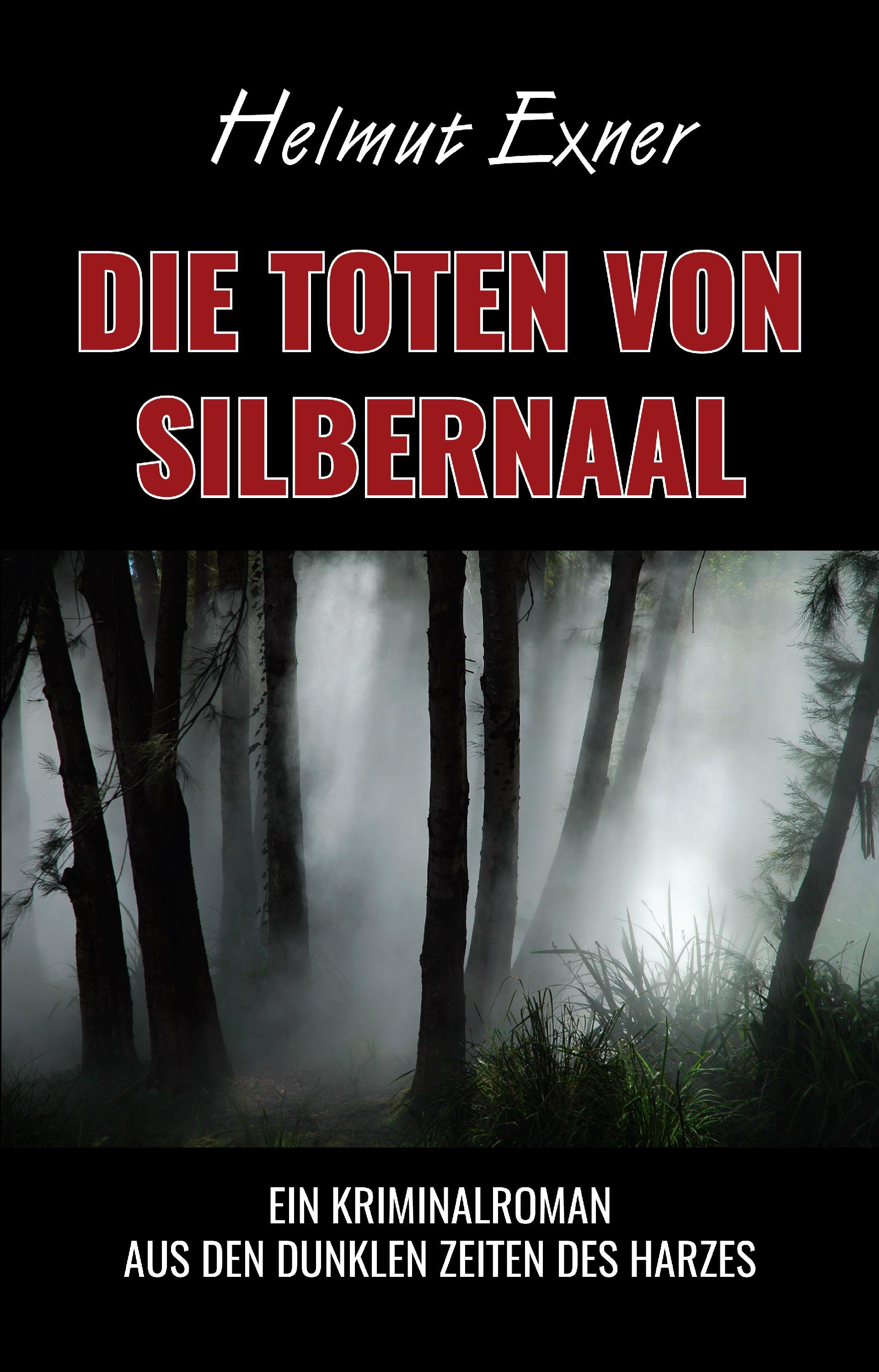 Vorderes Coverbild Die Toten von Silbernaal