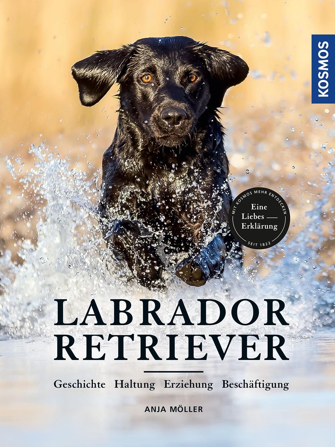Vorderes Coverbild Labrador Retriever