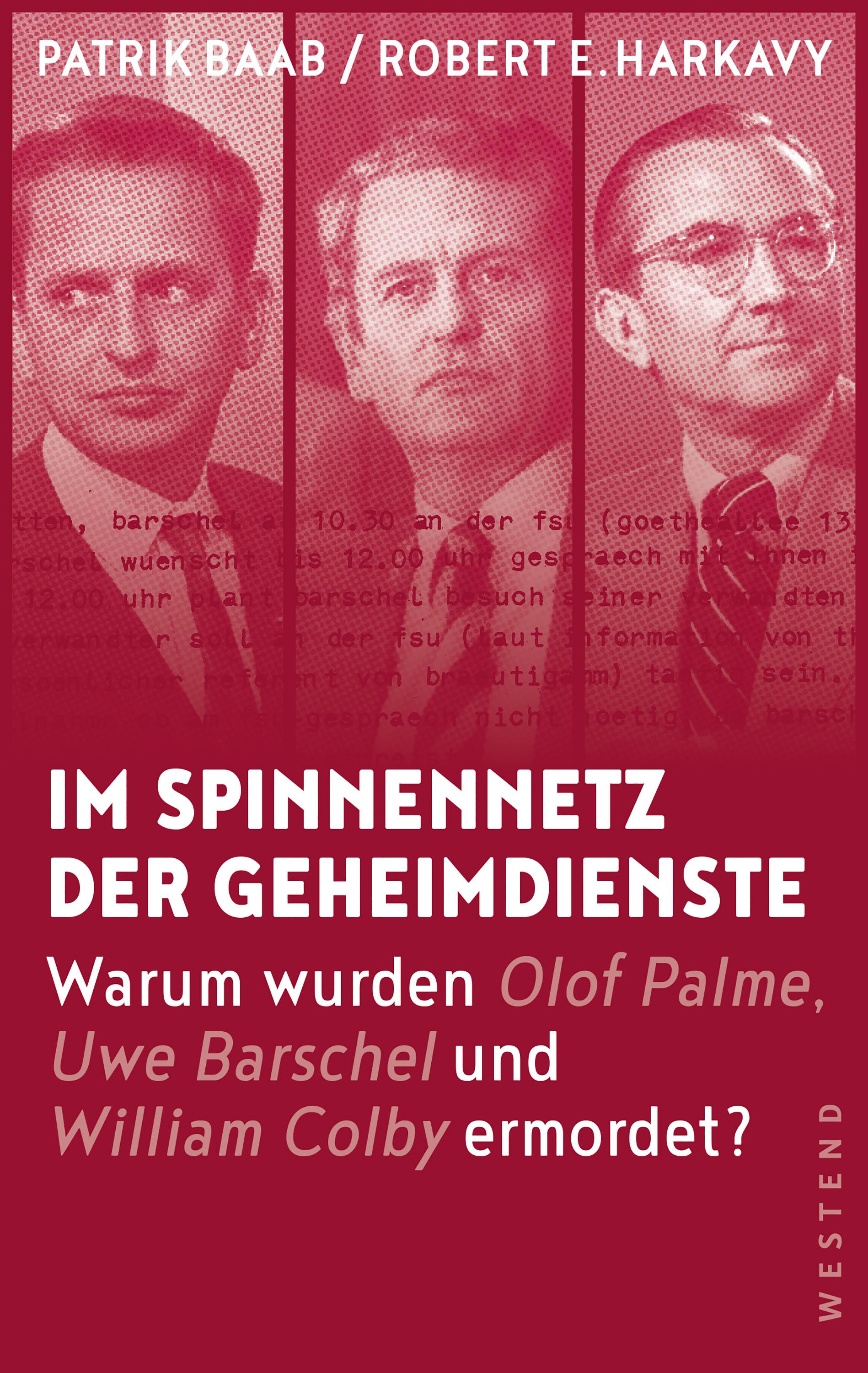 Vorderes Coverbild Im Spinnennetz der Geheimdienste