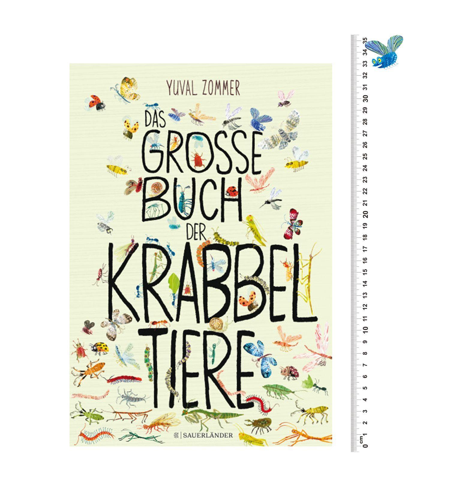 Beispielinhalt (Bild) Das große Buch der Krabbeltiere