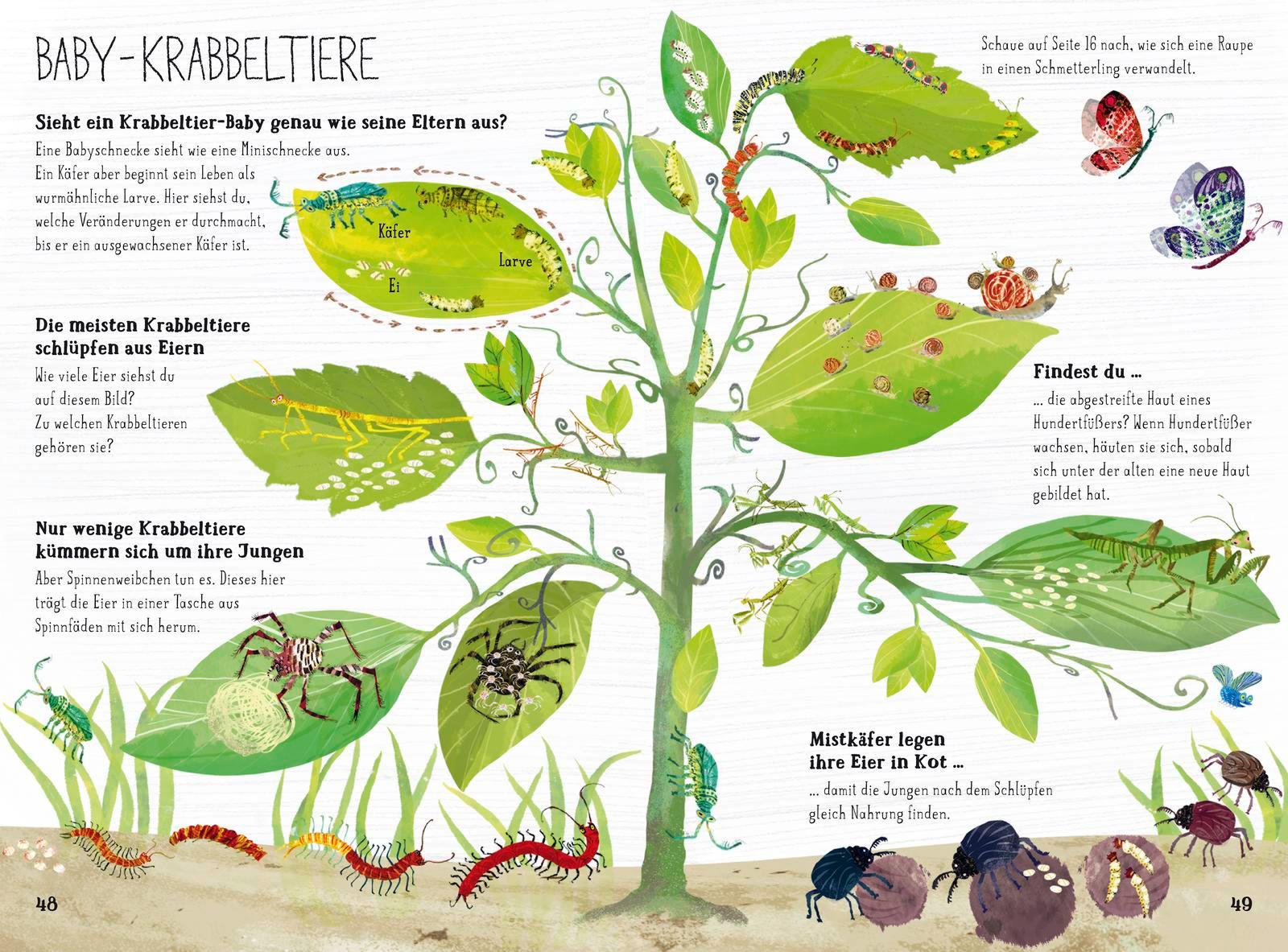 Beispielinhalt (Bild) Das große Buch der Krabbeltiere
