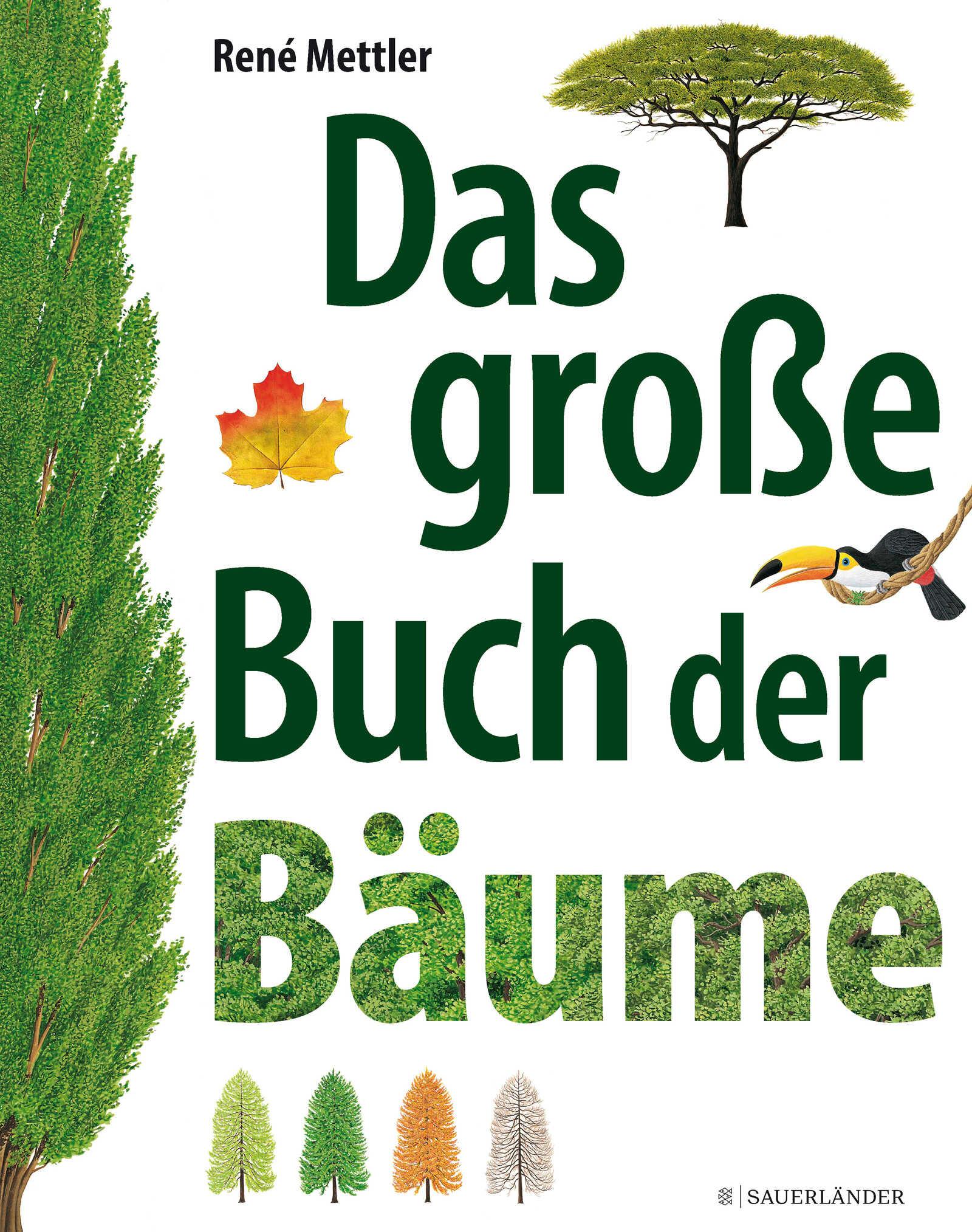 Vorderes Coverbild Das große Buch der Bäume
