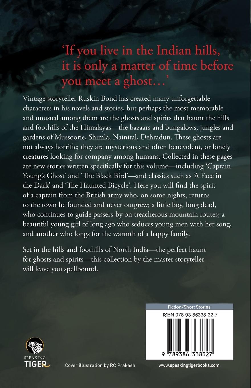 Rückseitencover Captain Young's Ghost