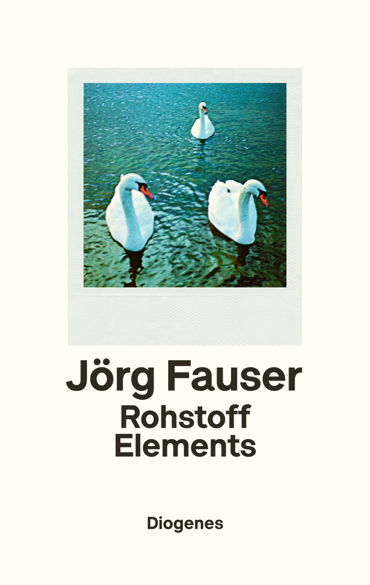 Vorderes Coverbild Rohstoff Elements