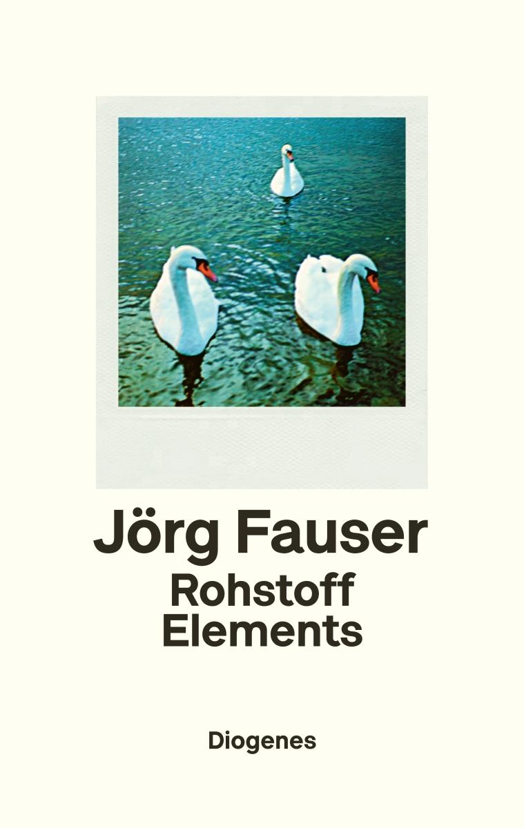 Vorderes Coverbild Rohstoff Elements