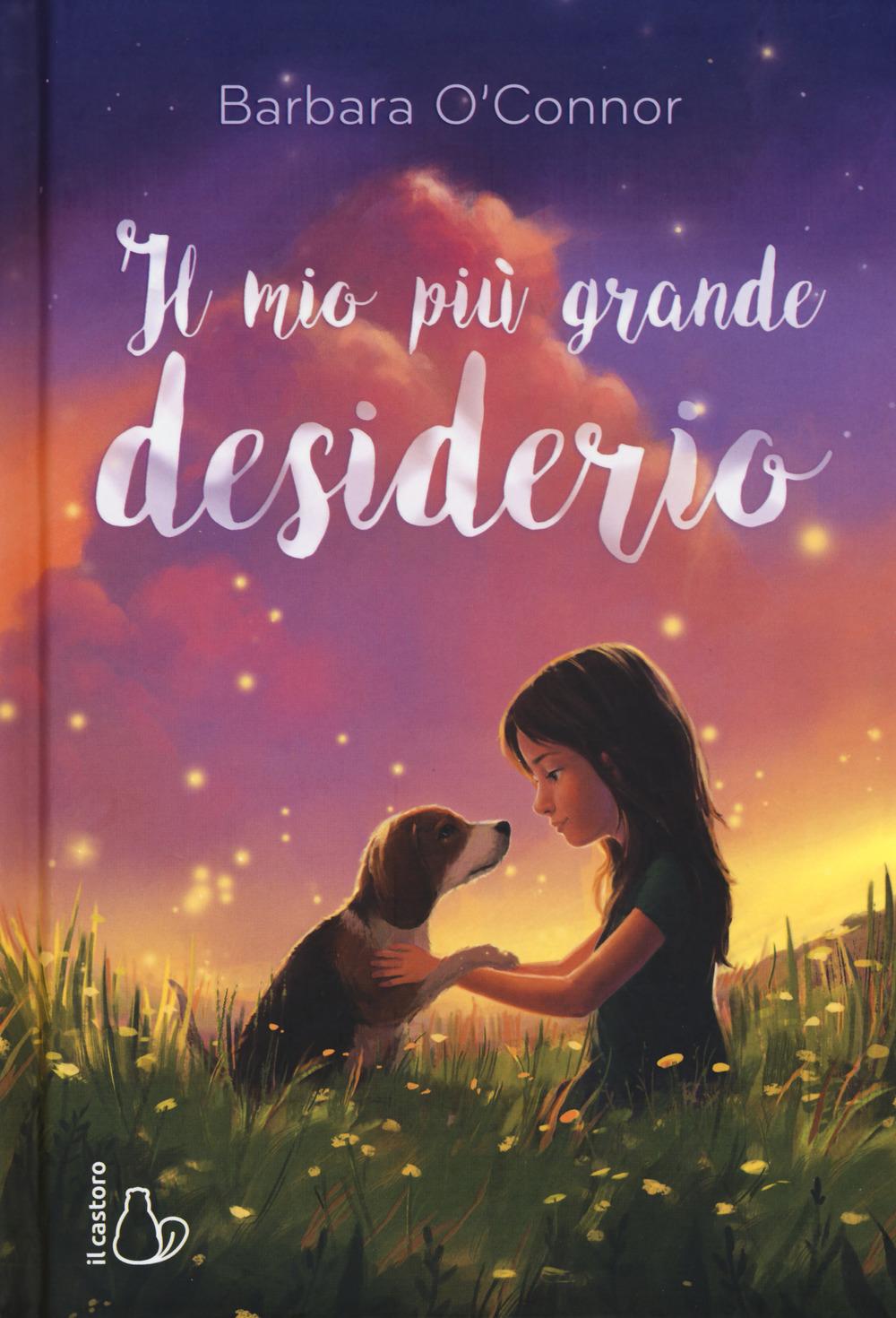 Vorderes Coverbild Il mio più grande desiderio