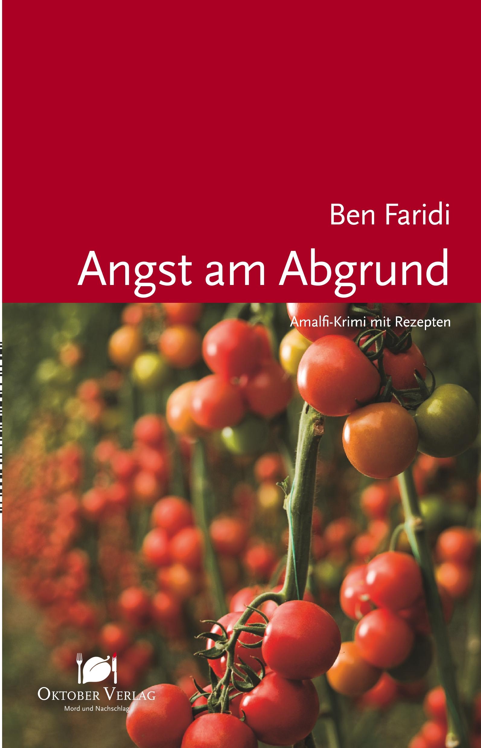 Vorderes Coverbild Angst am Abgrund