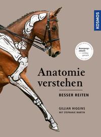 Vorderes Coverbild Anatomie verstehen - besser reiten