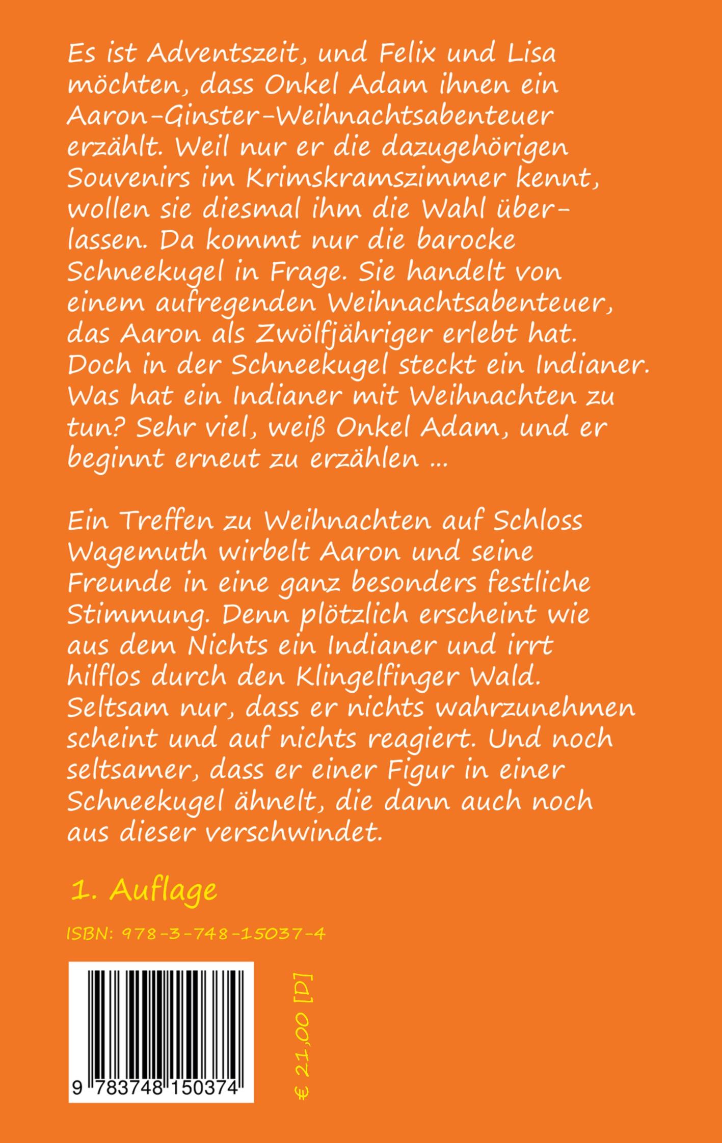 Rückseitencover Der Indianer in der Schneekugel