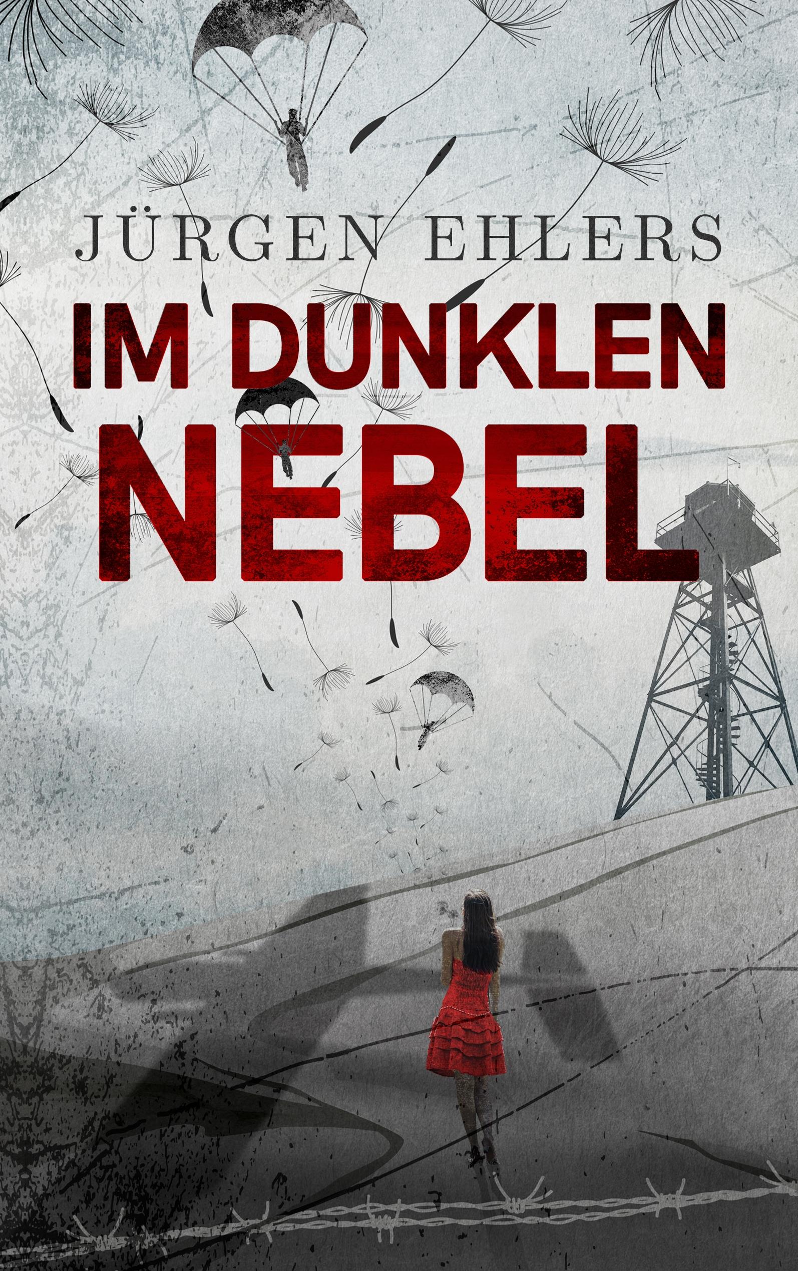 Vorderes Coverbild Im dunklen Nebel