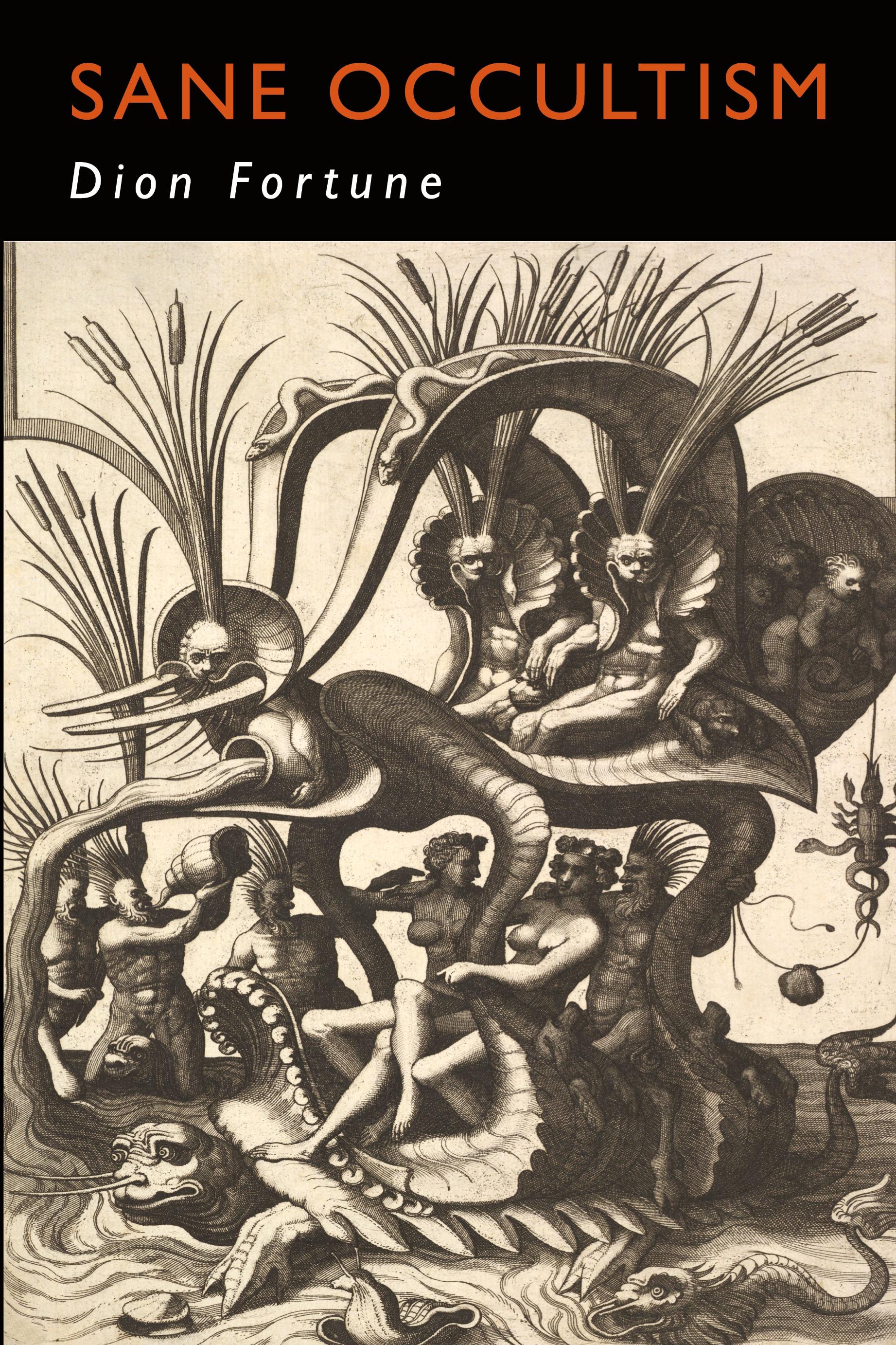 Vorderes Coverbild Sane Occultism