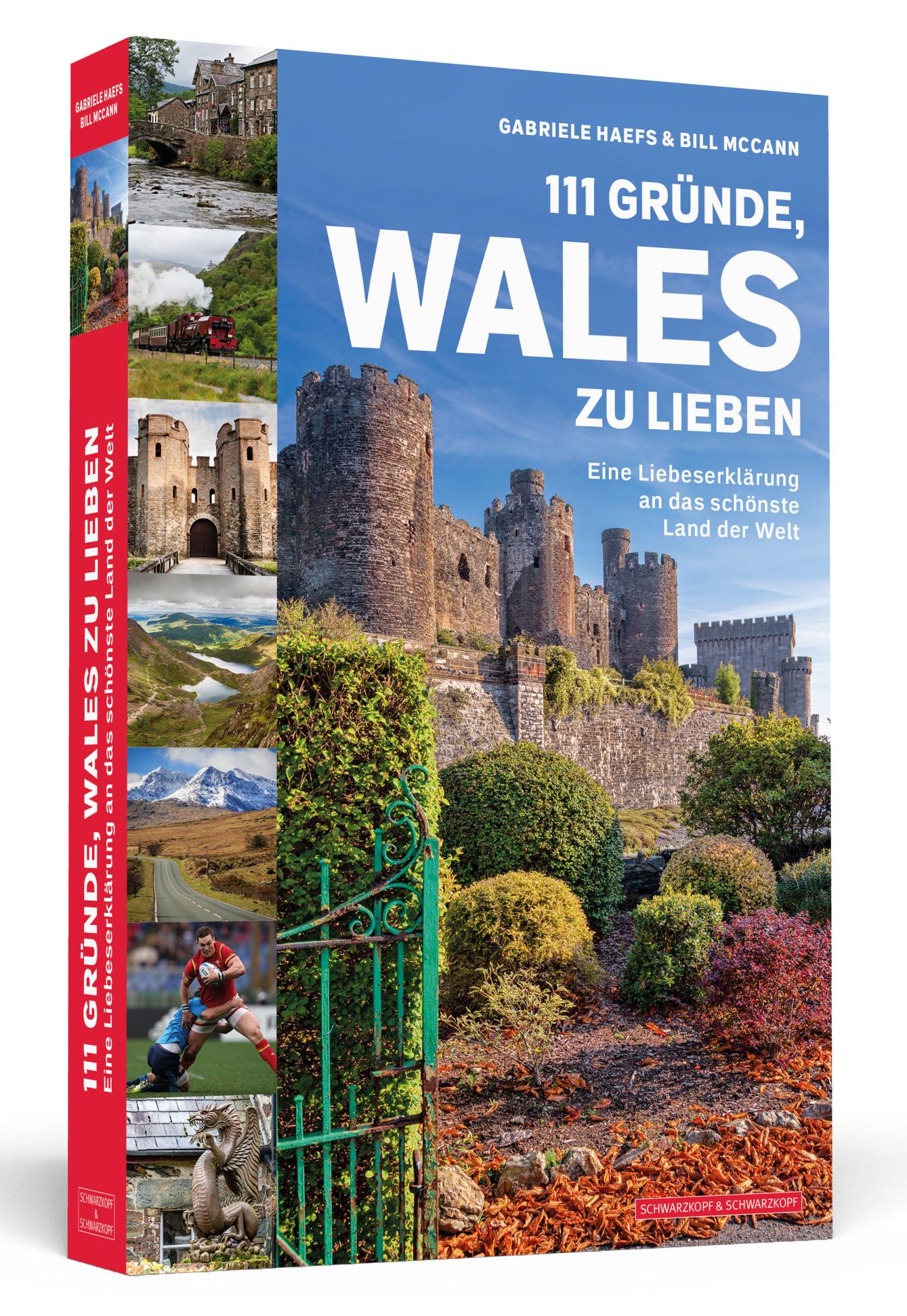 Vorderes Coverbild 111 Gründe, Wales zu lieben