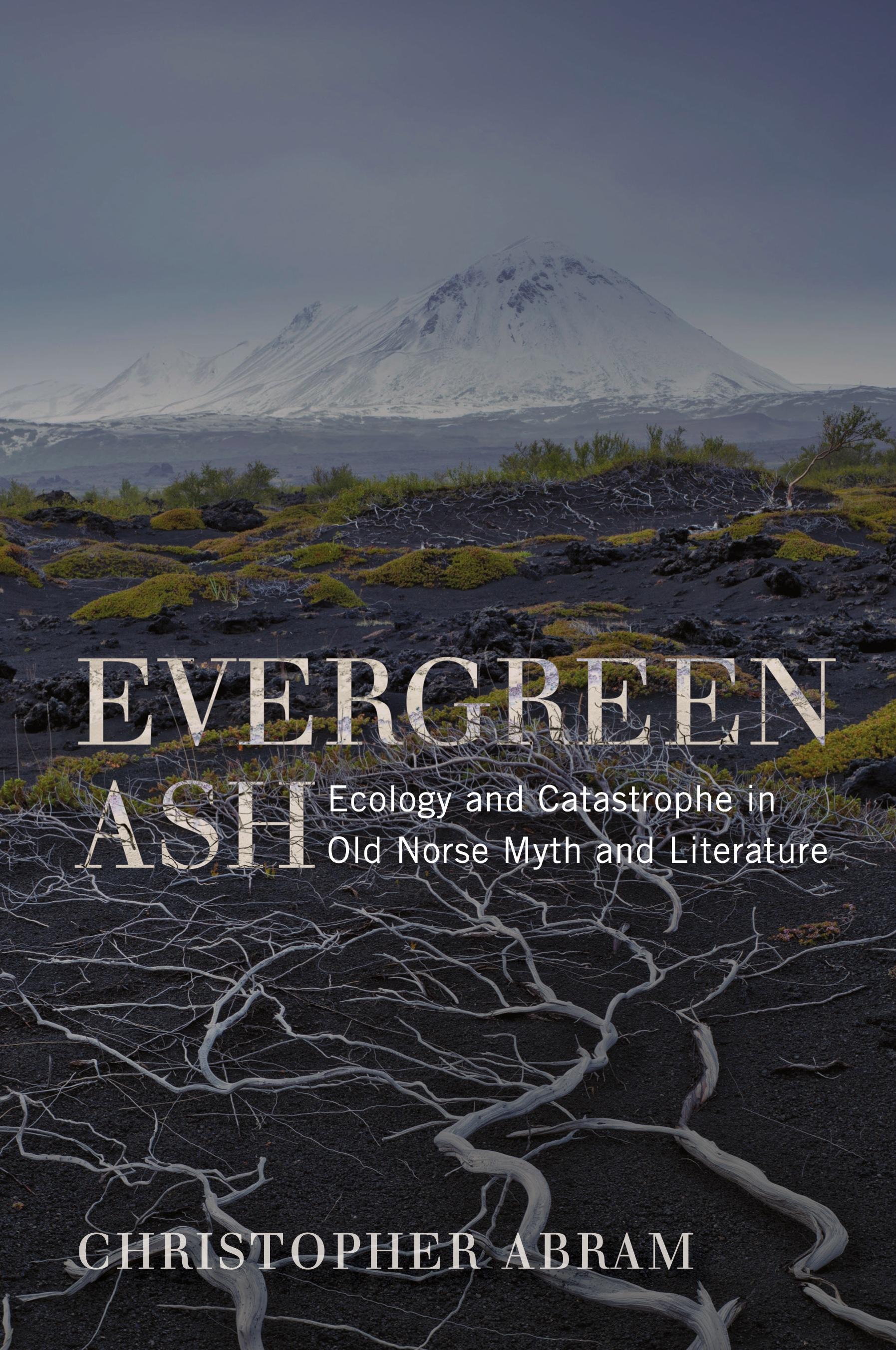 Vorderes Coverbild Evergreen Ash