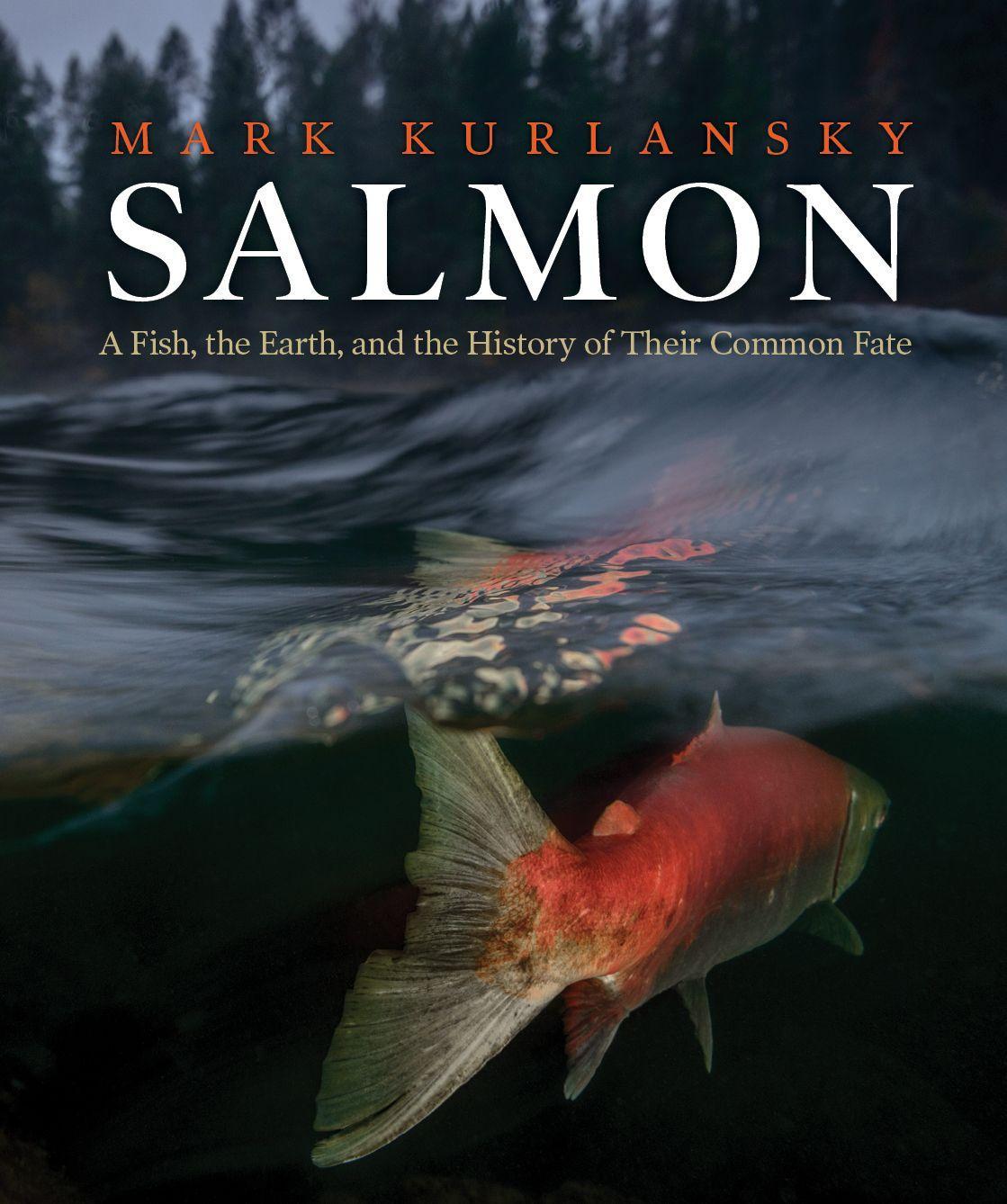 Vorderes Coverbild Salmon