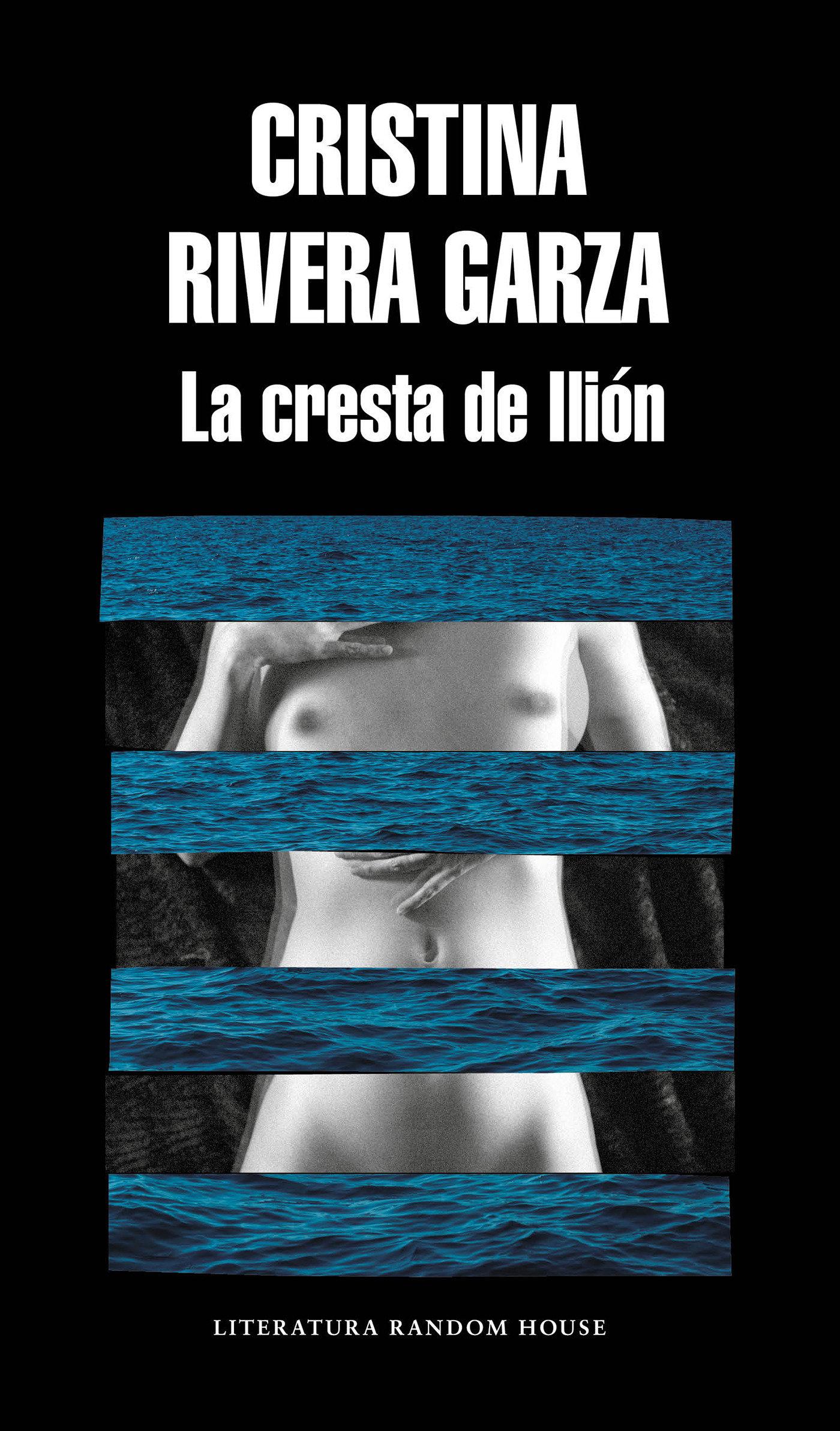 Vorderes Coverbild La Cresta de Ilión / The Iliac Crest