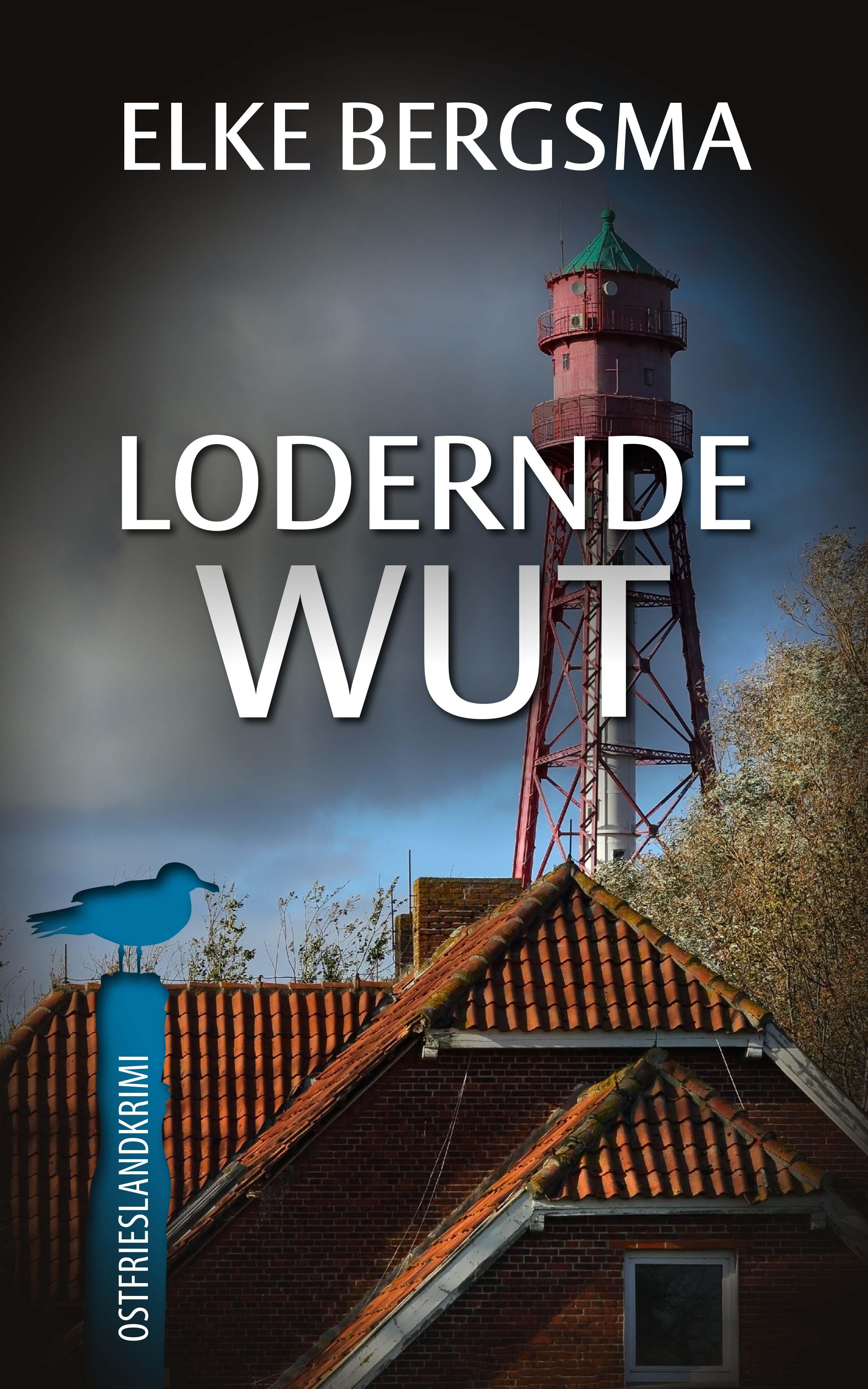 Vorderes Coverbild Lodernde Wut