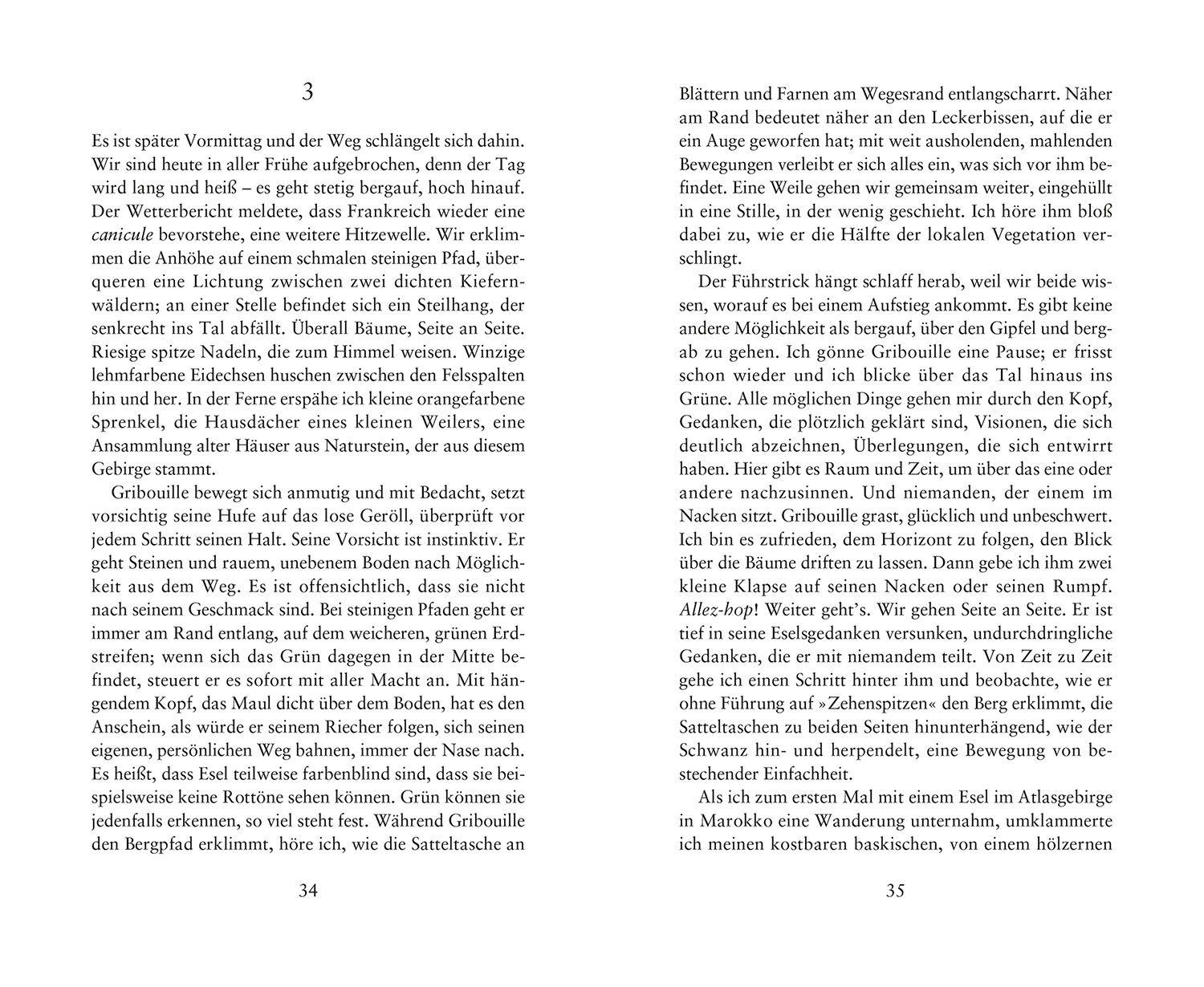 Beispielinhalt (Bild) Die Weisheit der Esel