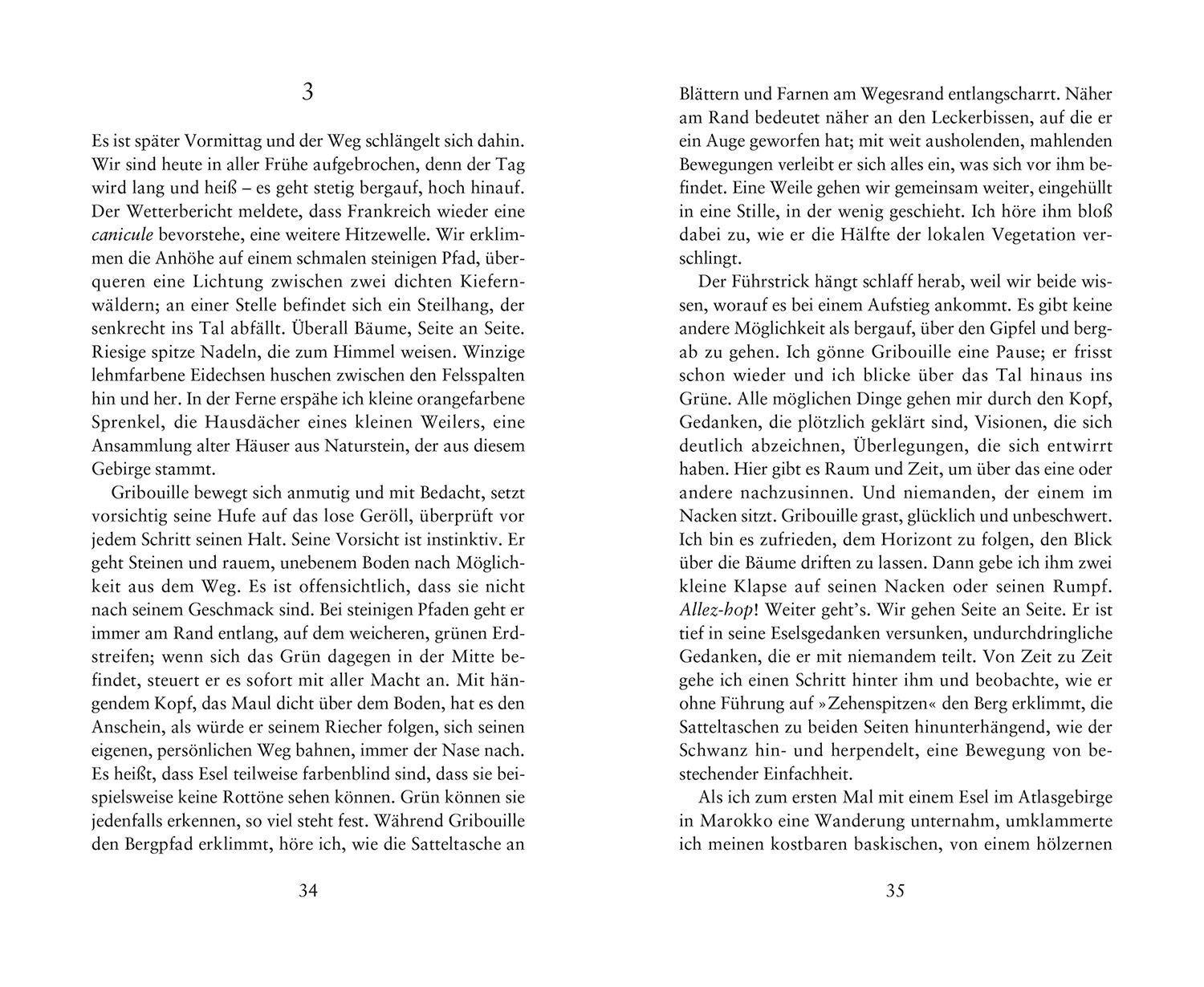 Beispielinhalt (Bild) Die Weisheit der Esel