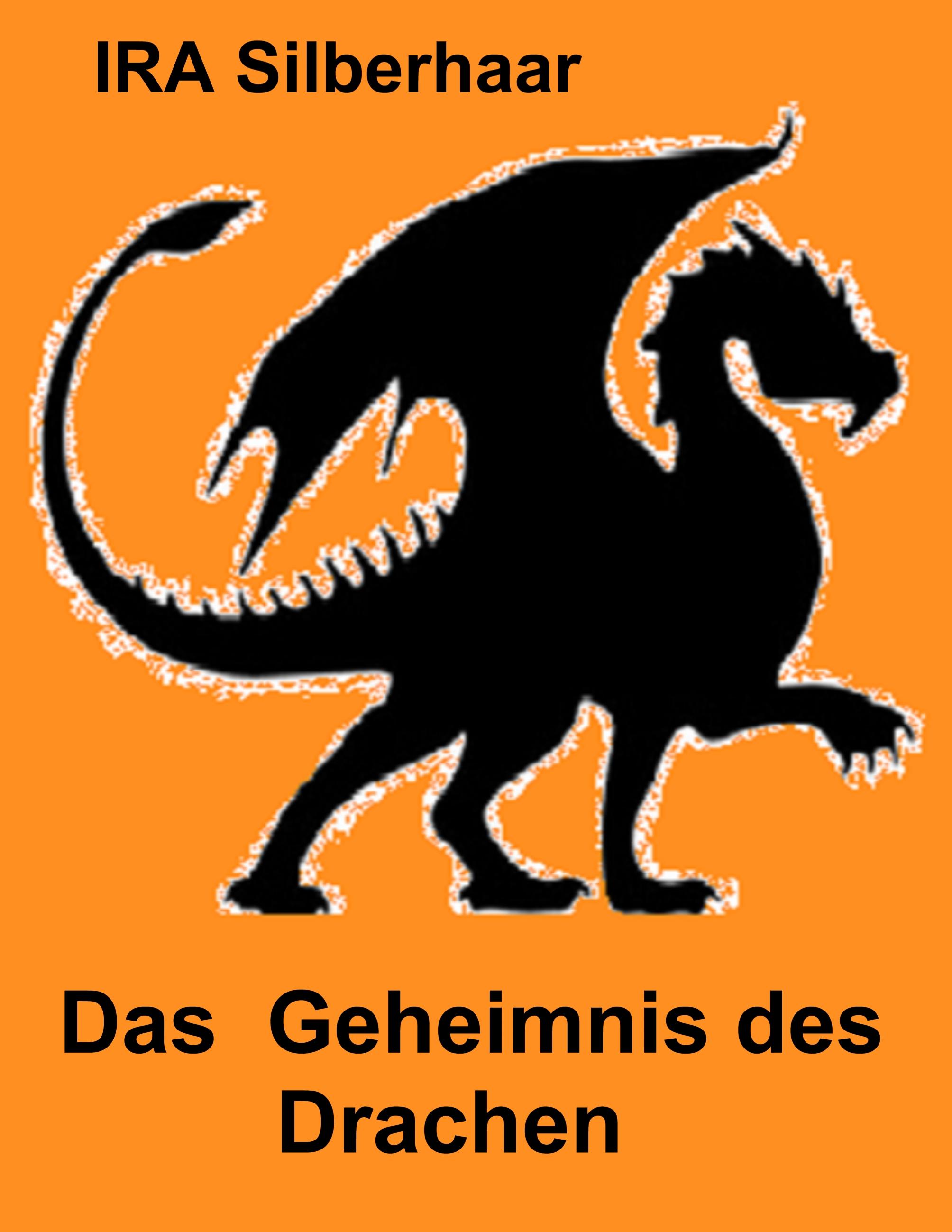 Vorderes Coverbild Das Geheimnis des Drachen