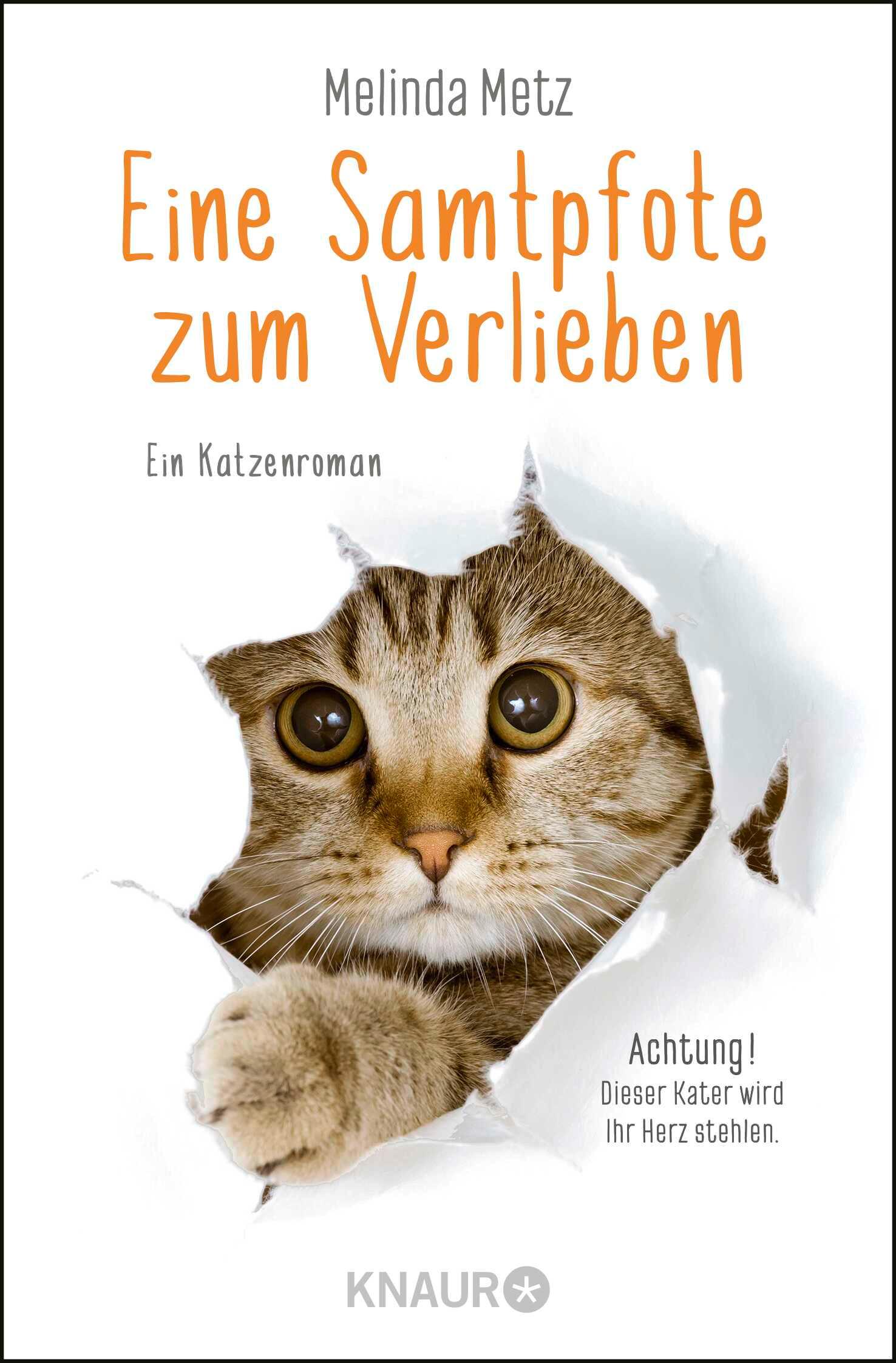 Vorderes Coverbild Eine Samtpfote zum Verlieben
