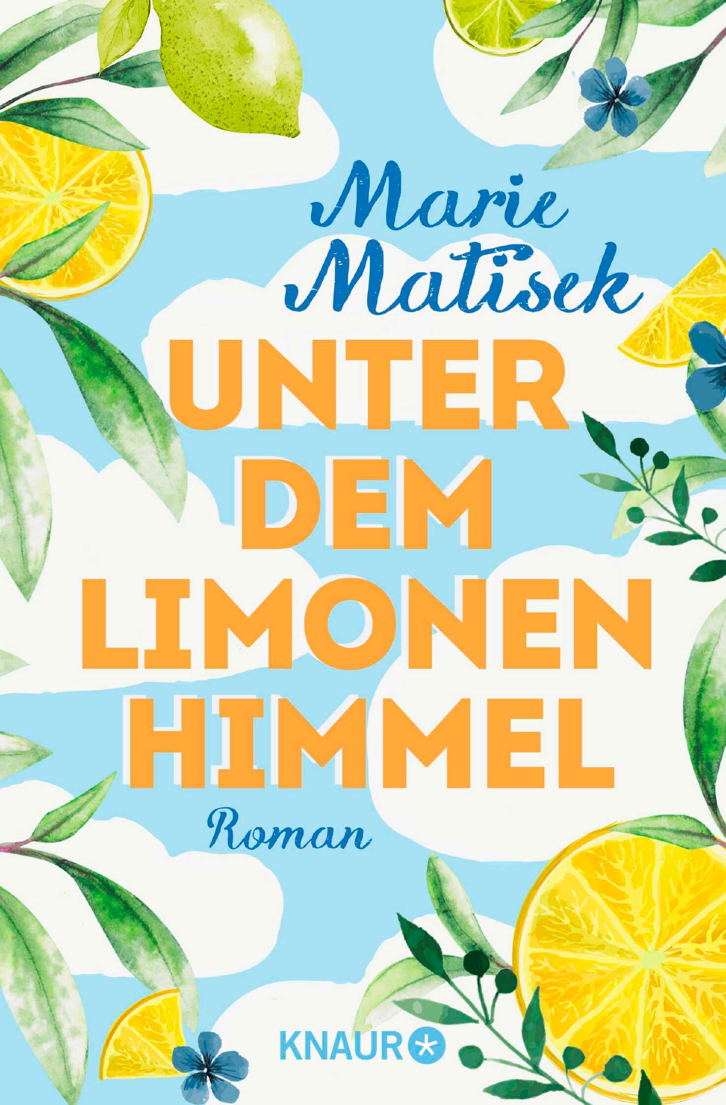 Vorderes Coverbild Unter dem Limonenhimmel