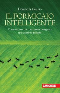 Vorderes Coverbild Il formicaio intelligente. Come vivono e che cosa possono insegnarci i più sociali tra gli insetti