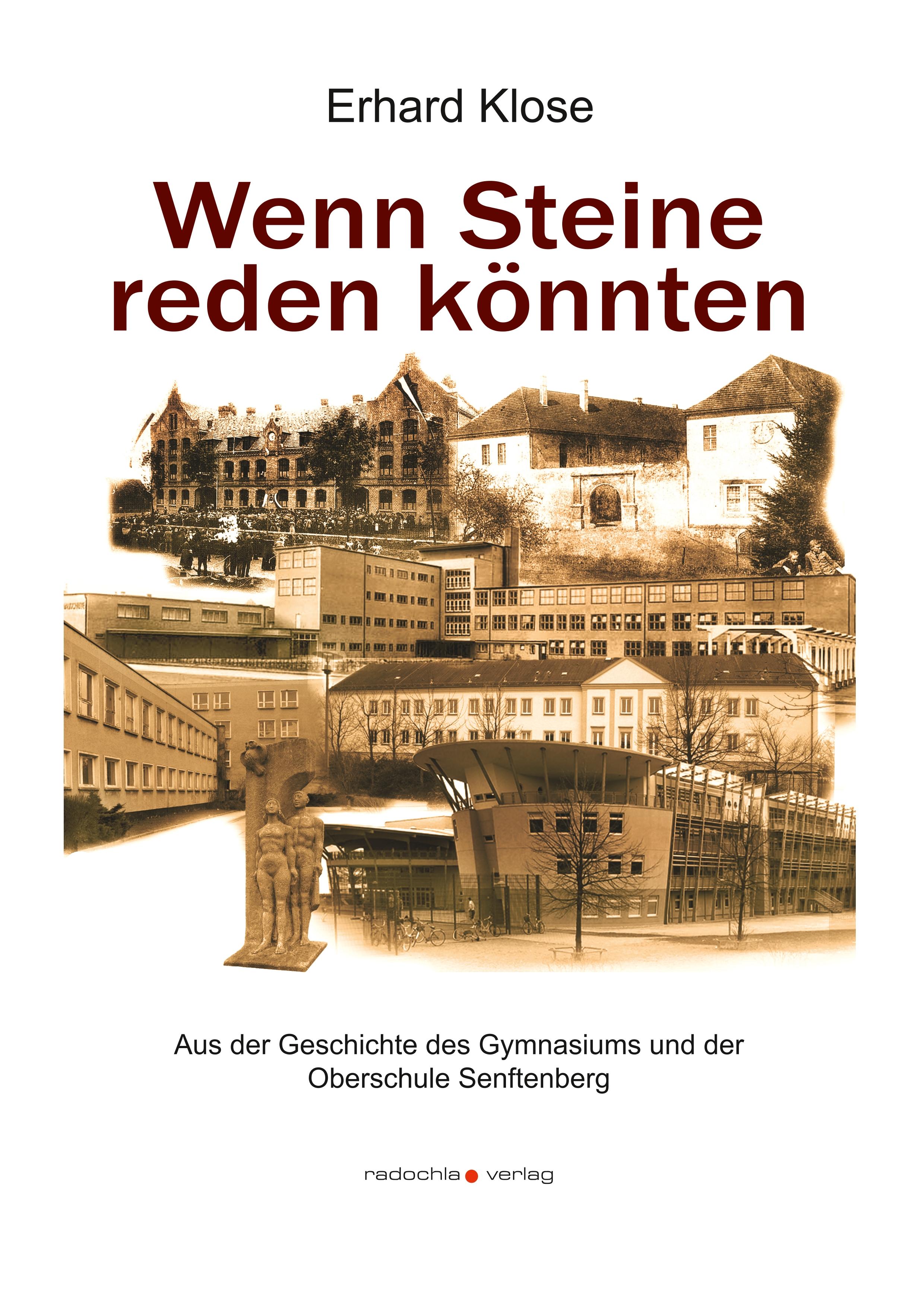 Vorderes Coverbild Wenn Steine reden könnten
