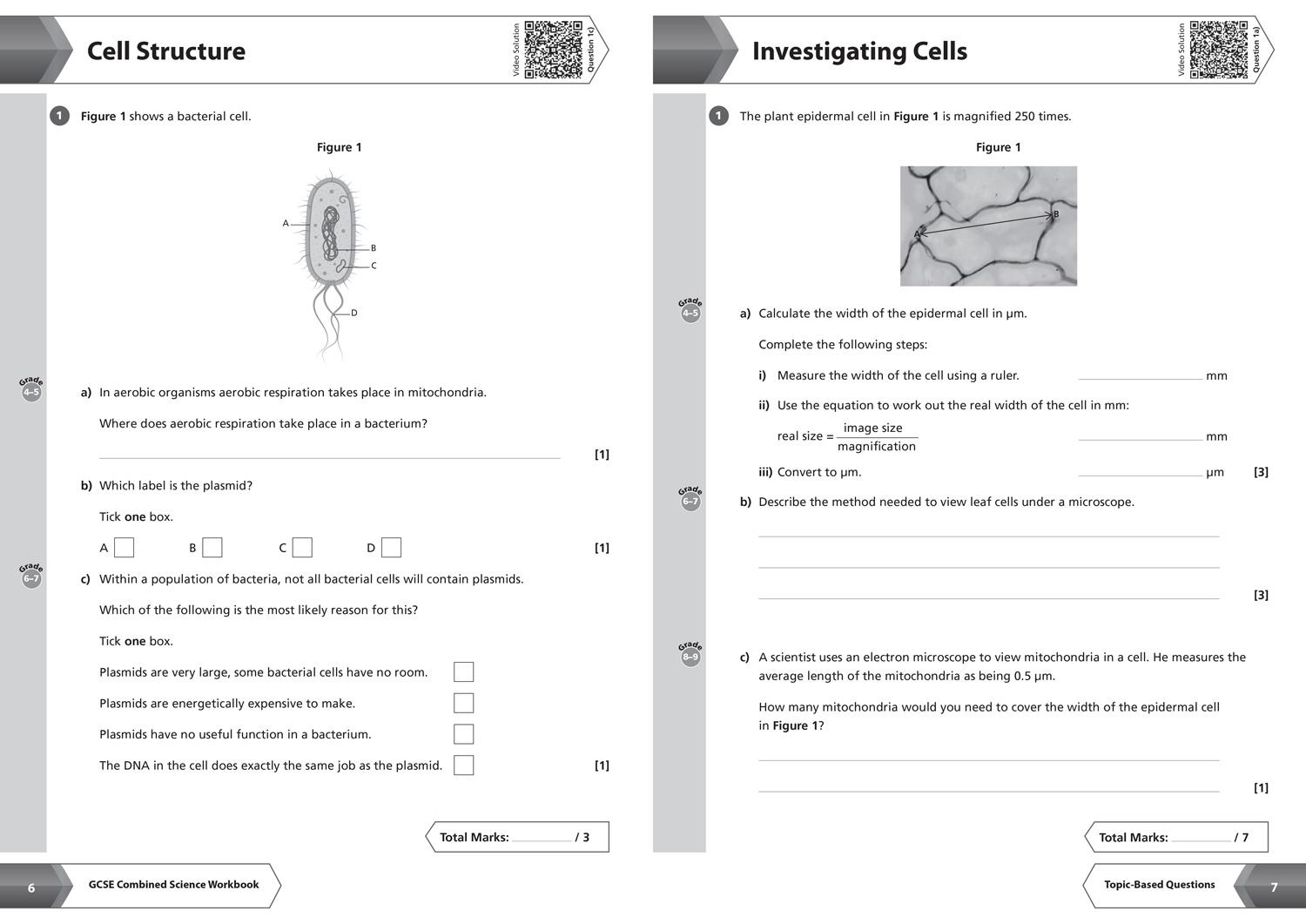 Beispielinhalt (Bild) Aqa GCSE 9-1 Combined Science Higher Workbook