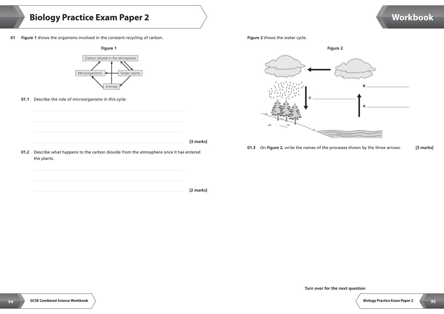 Beispielinhalt (Bild) Aqa GCSE 9-1 Combined Science Higher Workbook