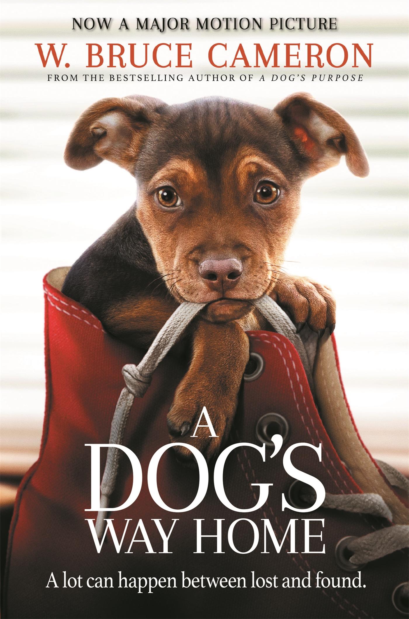 Vorderes Coverbild A Dog's Way Home
