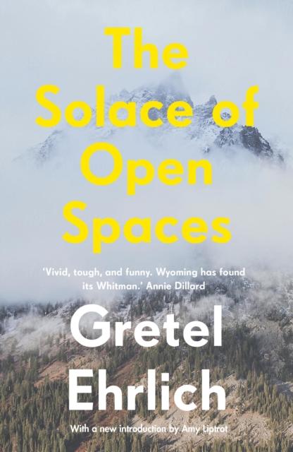 Vorderes Coverbild The Solace of Open Spaces