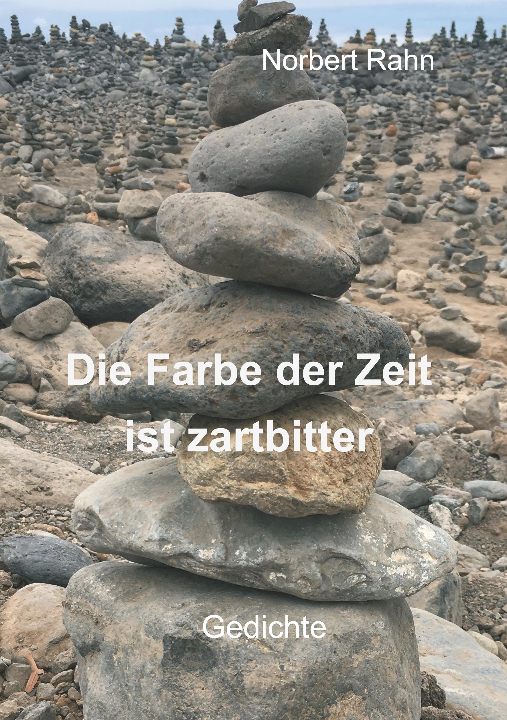 Vorderes Coverbild Die Farbe der Zeit ist zartbitter