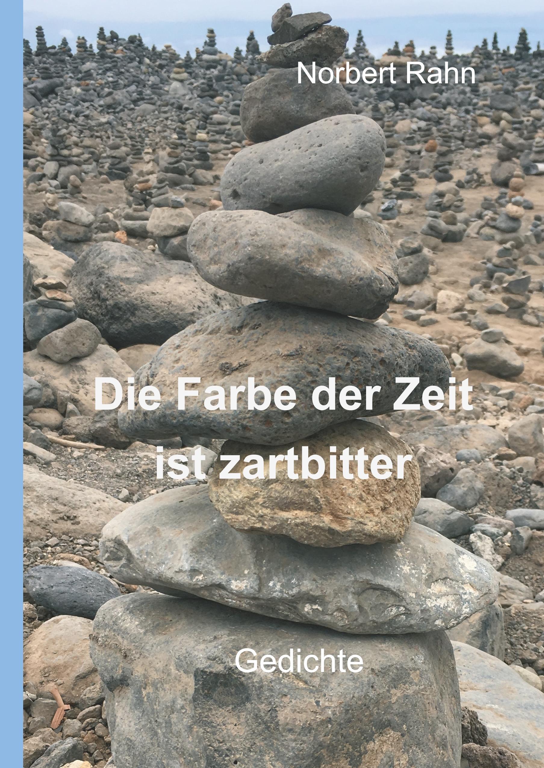 Vorderes Coverbild Die Farbe der Zeit ist zartbitter
