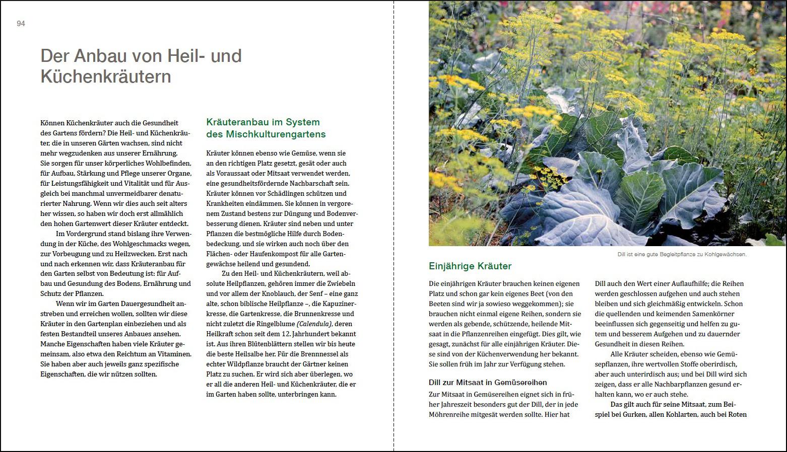 Beispielinhalt (Bild) Gesunder Garten durch Mischkultur