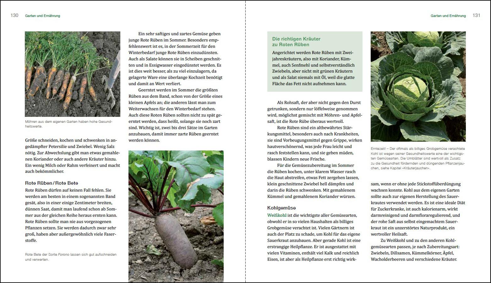 Beispielinhalt (Bild) Gesunder Garten durch Mischkultur