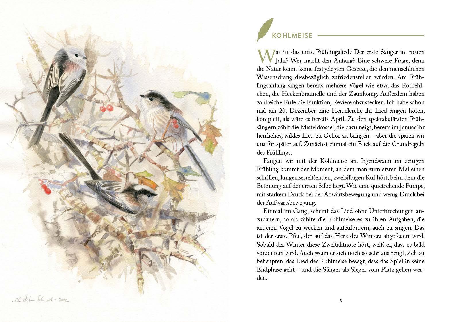 Beispielinhalt (Bild) Vom Glück einen Vogel am Gesang zu erkennen